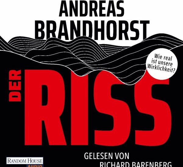 Der Riss